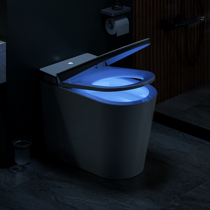 Bidet a livello automatico elettrico astuto intelligente di un pezzo del WC della ciotola di sciacquone del pavimento ceramico