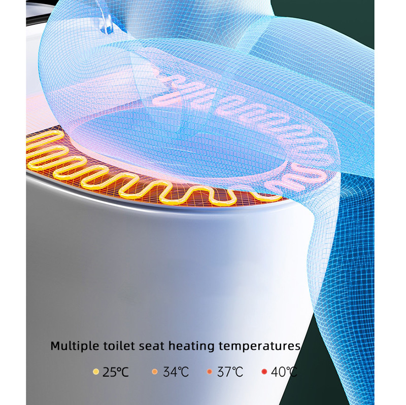 Bidet a livello automatico elettrico astuto intelligente di un pezzo del WC della ciotola di sciacquone del pavimento ceramico
