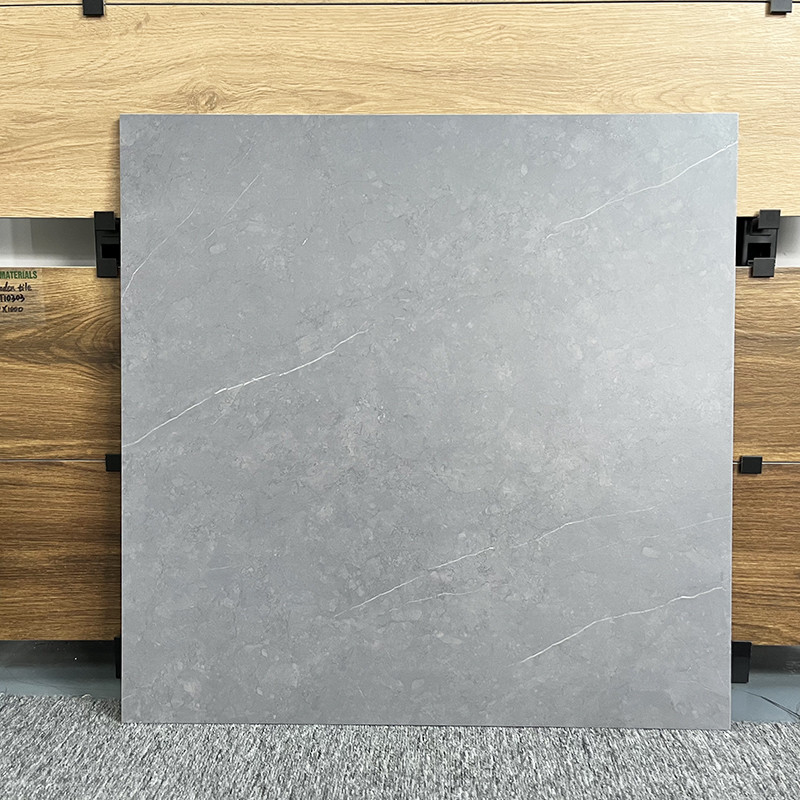 Le nuove mattonelle del salone di stile per il pavimento 60x60, non slittano Matte Porcelain Rustic Floor Tiles