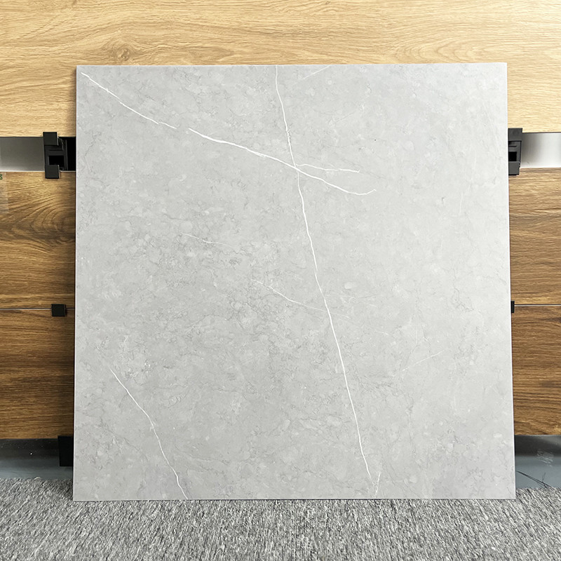 Le nuove mattonelle del salone di stile per il pavimento 60x60, non slittano Matte Porcelain Rustic Floor Tiles