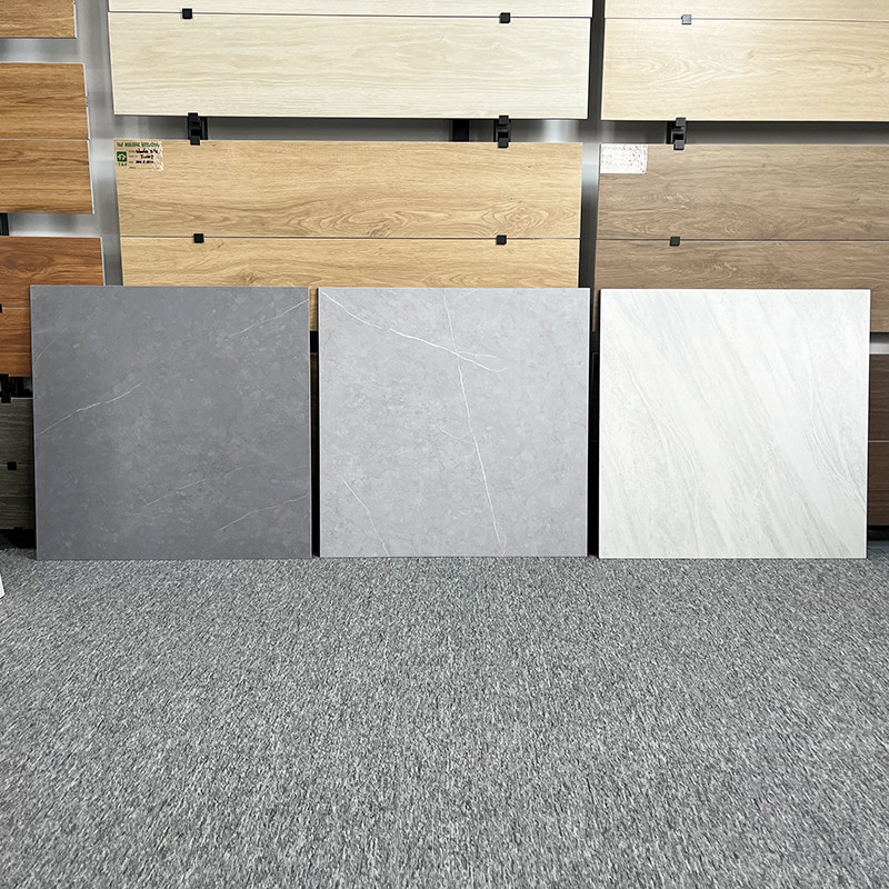 Le nuove mattonelle del salone di stile per il pavimento 60x60, non slittano Matte Porcelain Rustic Floor Tiles
