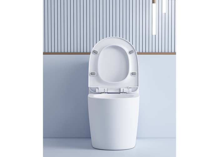Fornitura della Cina Articoli sanitari Bagno Sanitario Washdown One Piece WC Toilette Set Bagno Sanitari