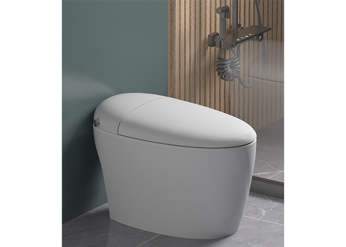 Un pezzo solo ceramico del pavimento del sensore del bagno di HOMIXE del bidet a livello automatico elettrico di lusso del Wc