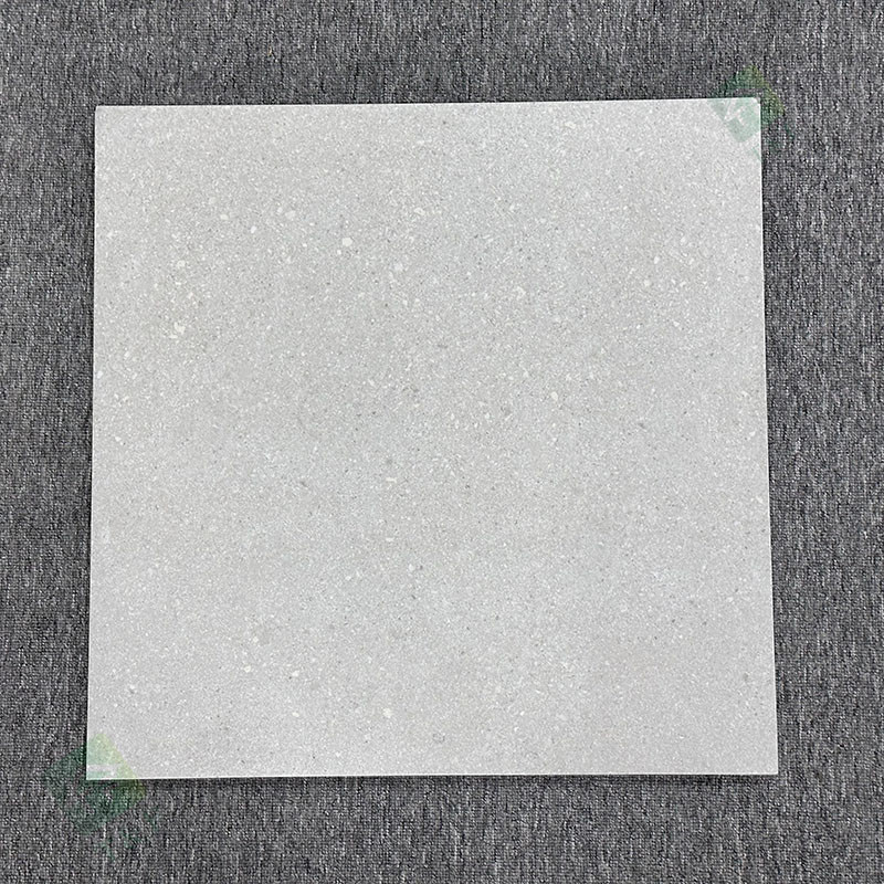 lo slittamento Matte Finished Exterior Garden Pavers ruvido di 600*600mm non piastrella il pavimento della porcellana