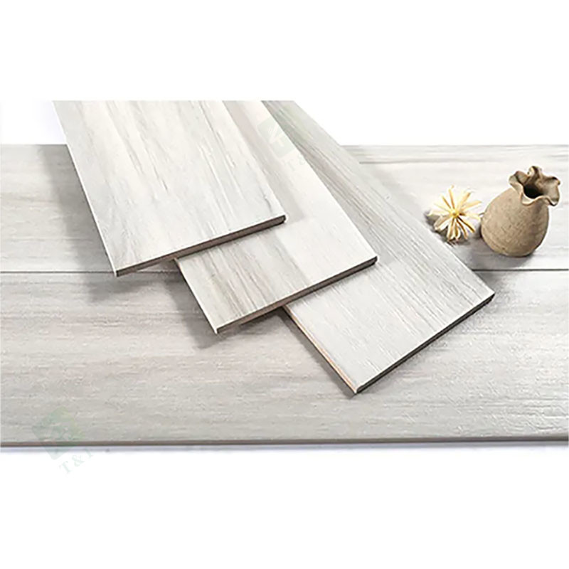 piastrelle per pavimento rustiche di Matte Finished Modern Porcelain Wooden di anti slittamento di 150*900mm