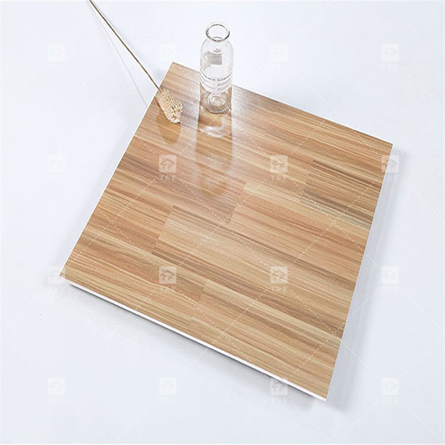 600x600mm Piastrelle di pavimento rustiche a corpo intero Piastrelle di porcellana non scivolose