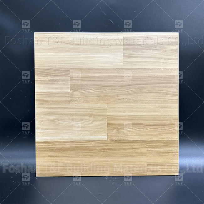 600x600mm Piastrelle di pavimento rustiche a corpo intero Piastrelle di porcellana non scivolose